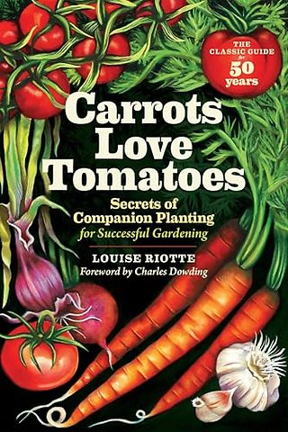 Carrots Love Tomatoes