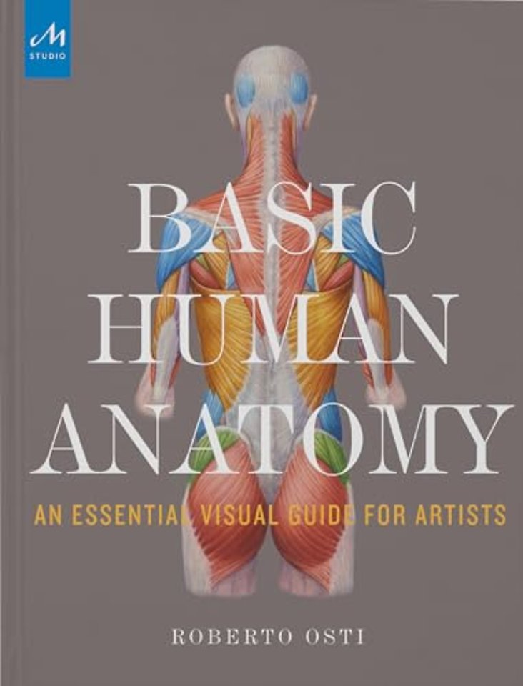 Basic Human Anatomy