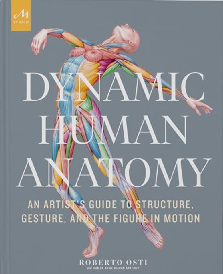 Dynamic Human Anatomy