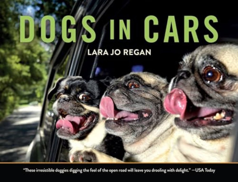Dogs in Cars