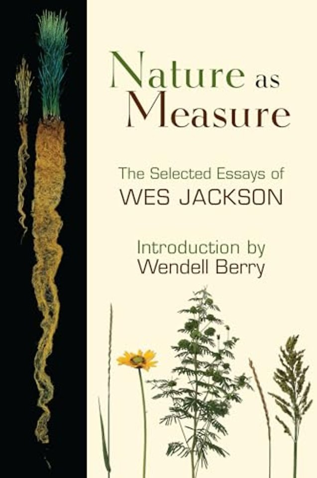 Nature as Measure
