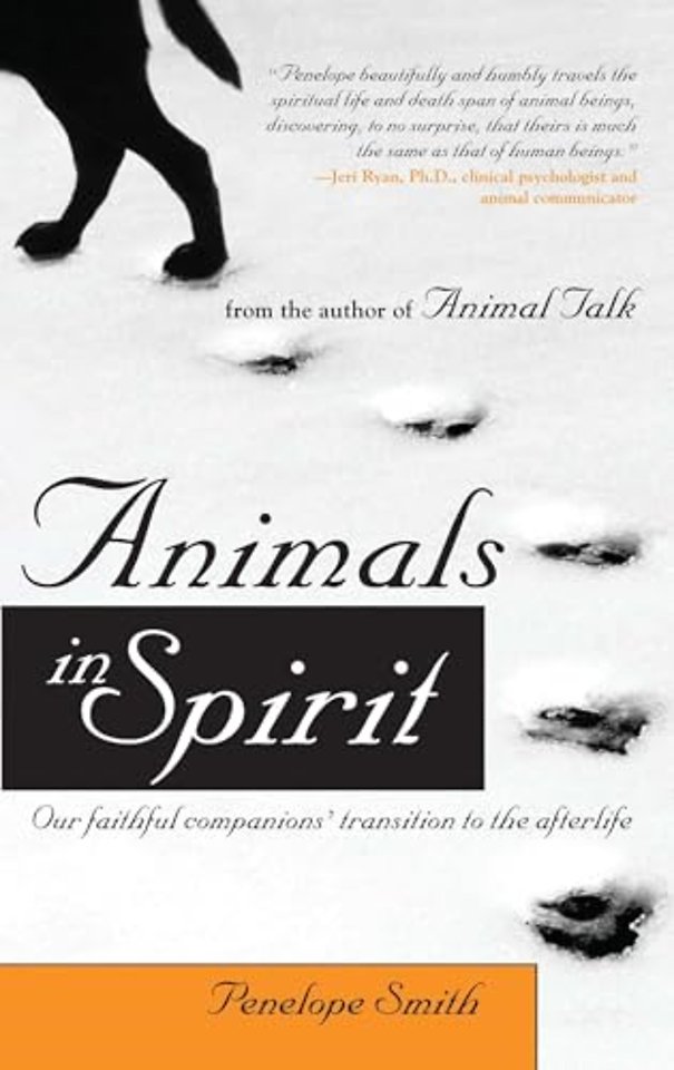 Animals in Spirit: Our Faithful Companions' Transition to the Afterlife