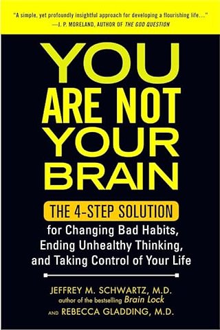 You Are Not Your Brain