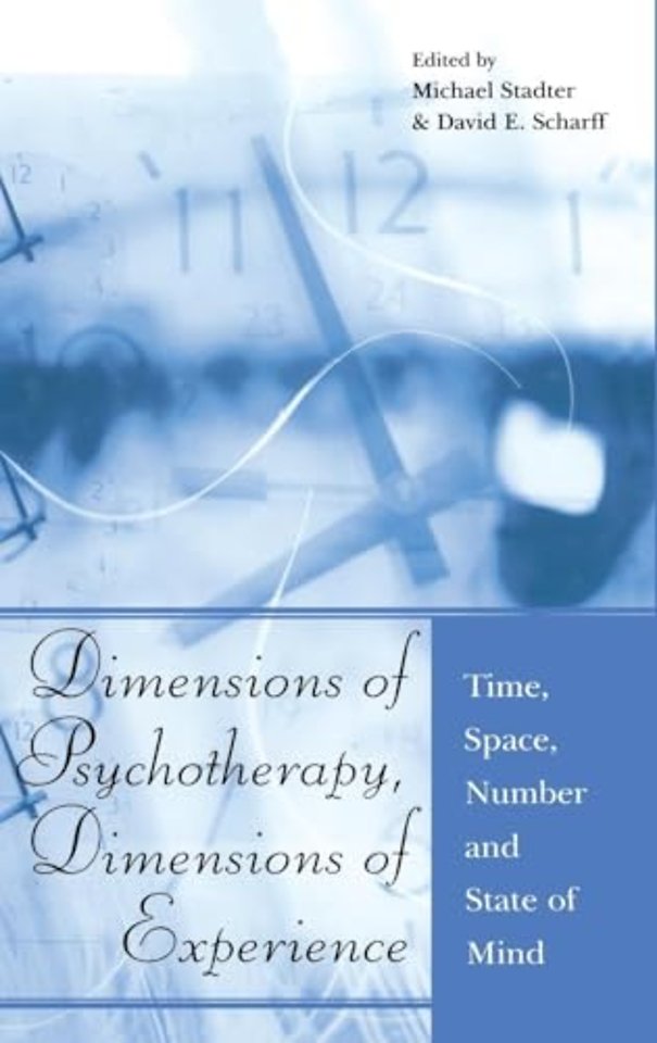 Dimensions of Psychotherapy, Dimensions of Experience