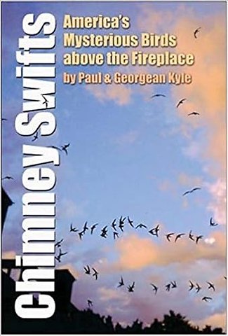 Chimney Swifts – America`s Mysterious Birds Above the Fireplace