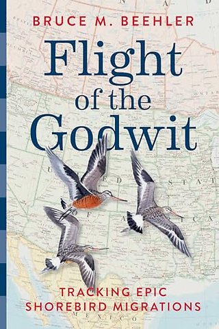 Flight of the Godwit