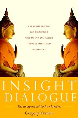 Insight Dialogue