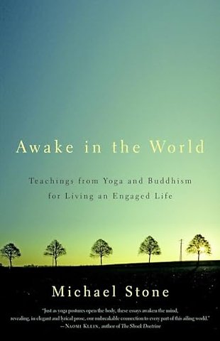 Awake in the World