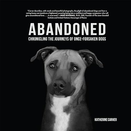 Abandoned