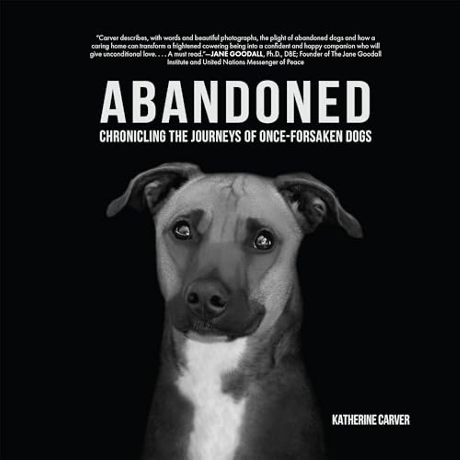 Abandoned