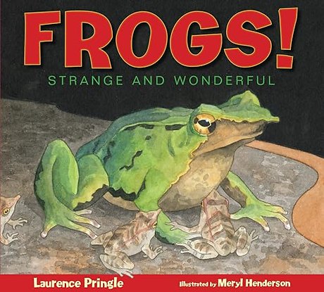 Frogs!