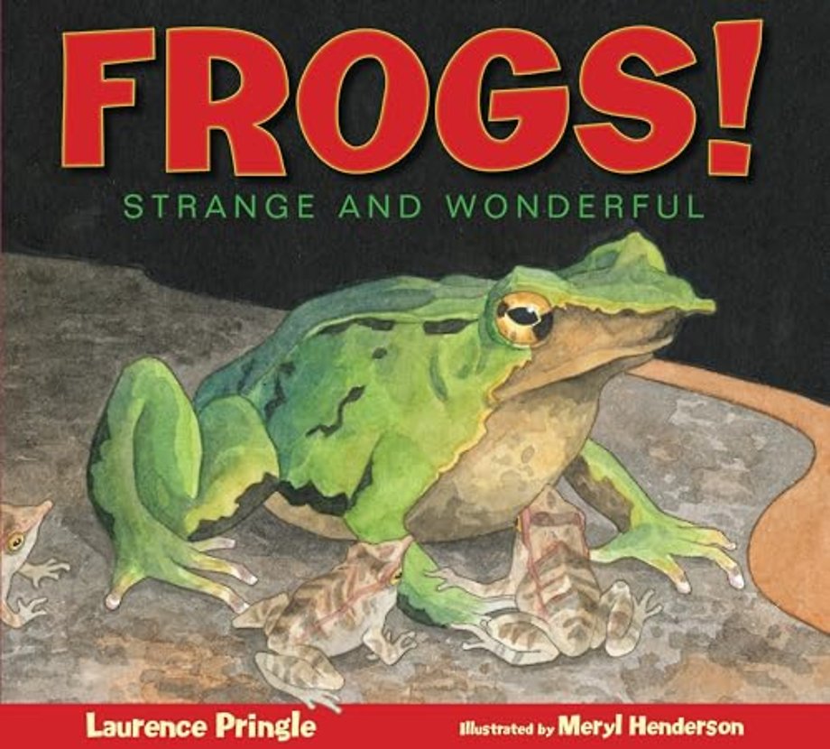 Frogs!
