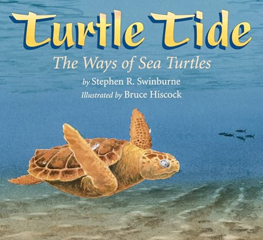 Turtle Tide