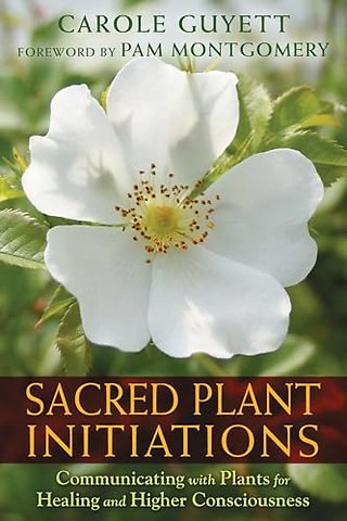 Sacred Plant Initiations