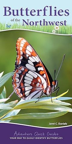 Butterflies of the Northwest