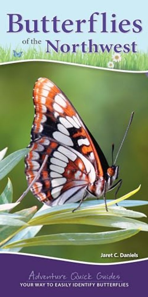 Butterflies of the Northwest