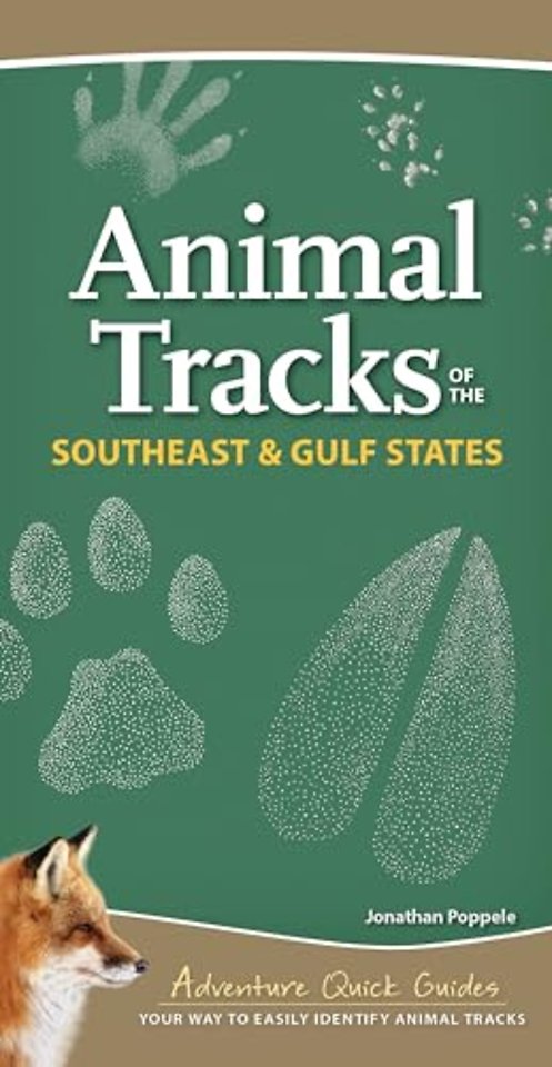 Animal Tracks of the Southeast & Gulf States