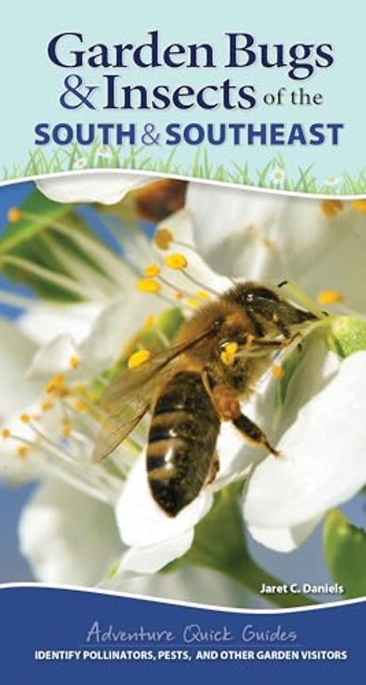 Garden Bugs & Insects of the South & Southeast