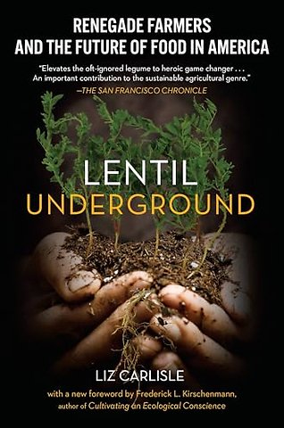 Lentil Underground