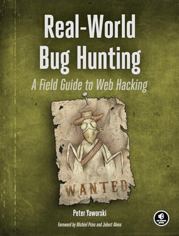 Real-world Bug Hunting