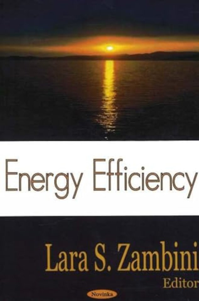 Energy Efficiency