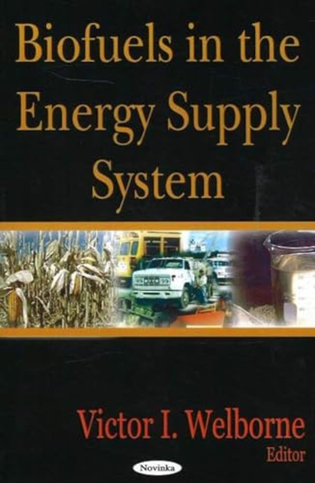 Biofuels in the Energy Supply System