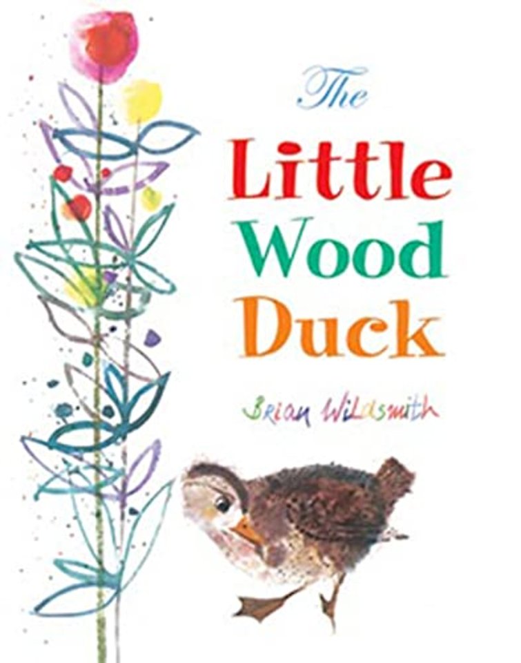 The Little Wood Duck