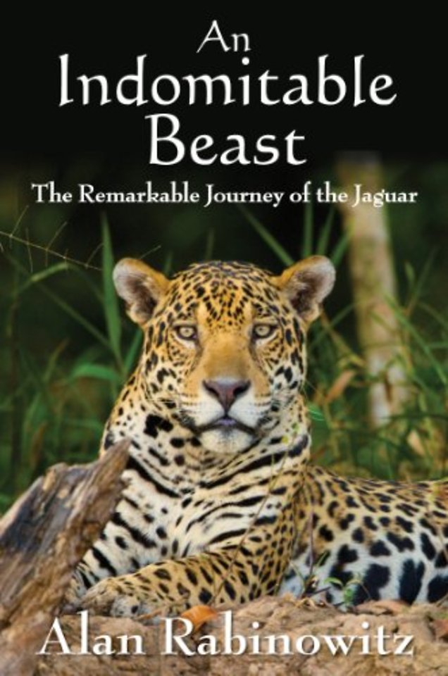 Indomitable Beast – The Remarkable Journey of the Jaguar