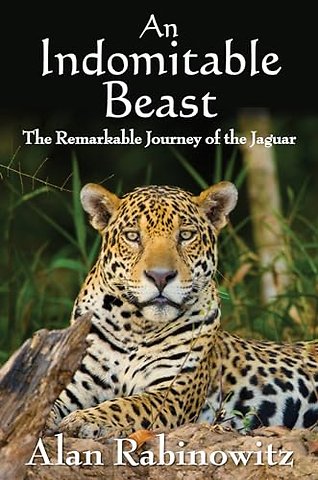 Indomitable Beast – The Remarkable Journey of the Jaguar