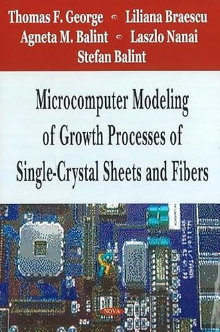 Microcomputer Modeling of Growth Processes of Single-Crystal Sheets & Fibers