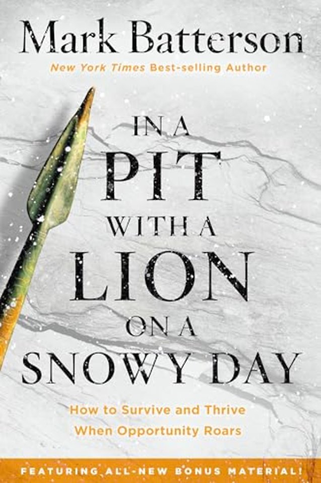 In a Pit with a Lion on a Snowy Day