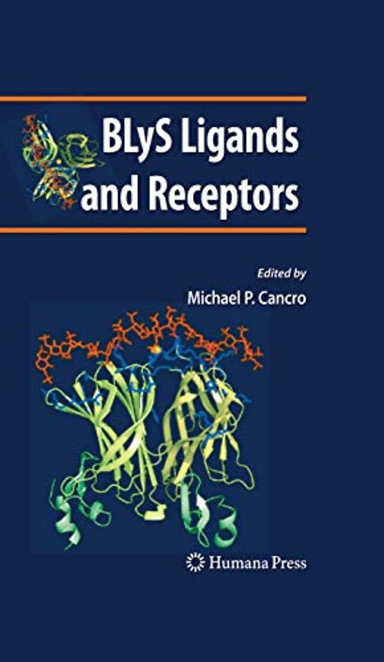 BLyS Ligands and Receptors