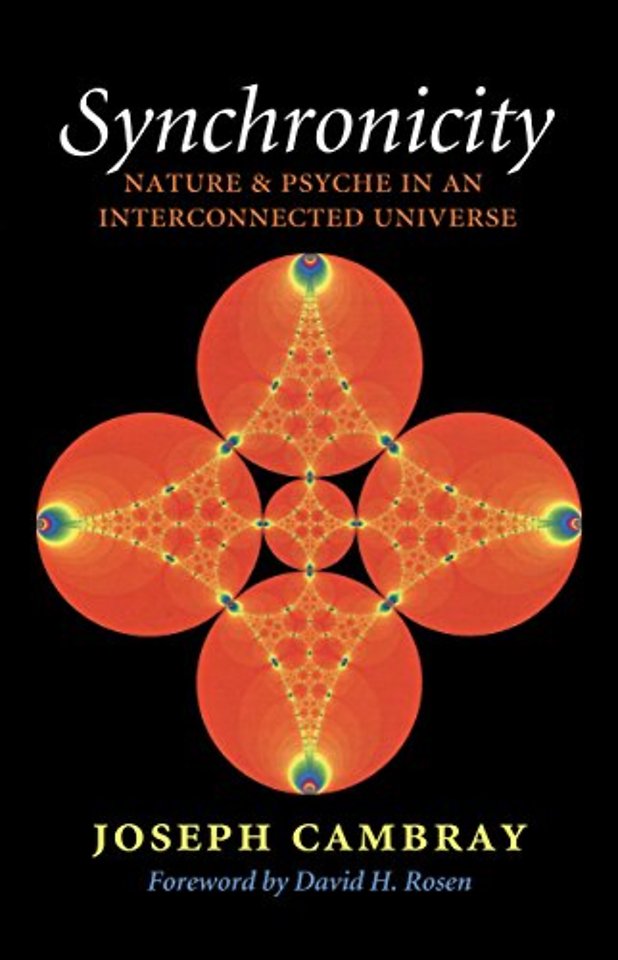 Synchronicity: Nature and Psyche in an Interconnected Universe