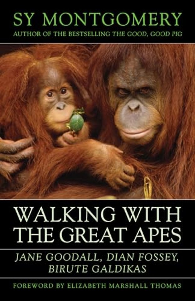 Walking with the Great Apes