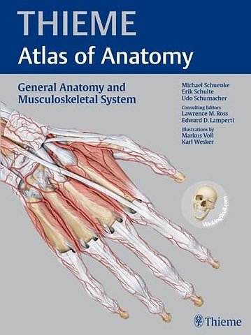General Anatomy And Musculoskeletal System