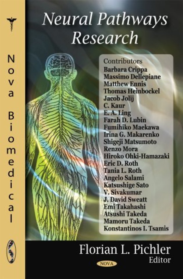 Neural Pathways Research