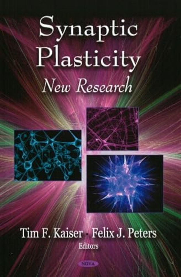 Synaptic Plasticity