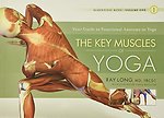 Key Muscles of Yoga: Your Guide to Functional Anatomy in Yoga
