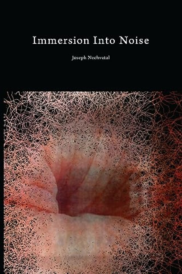 Immersion Into Noise