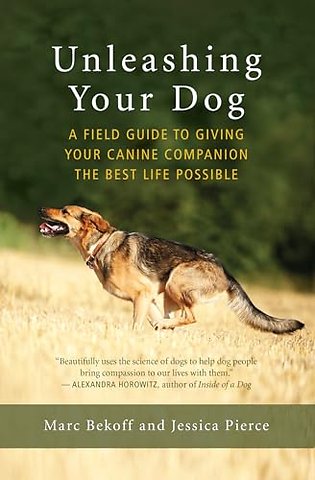 Unleashing Your Dog