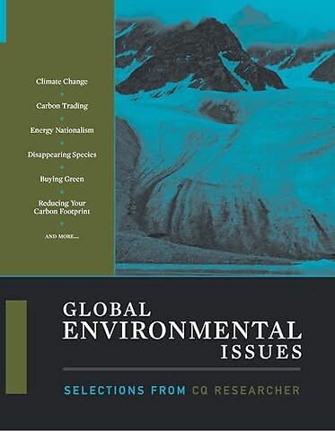 Global Environmental Issues