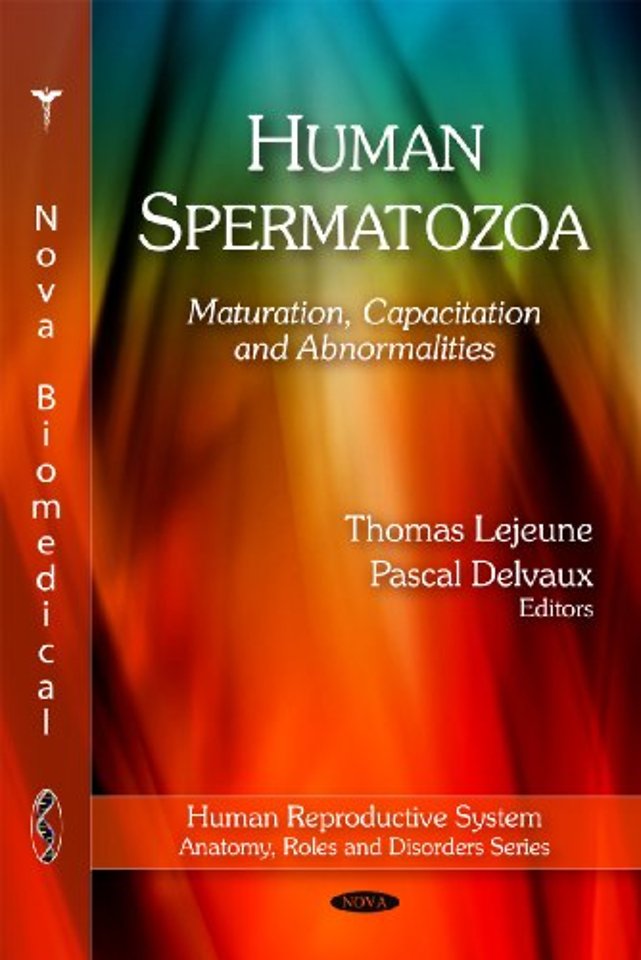 Human Spermatozoa