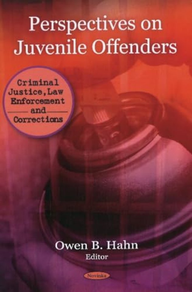 Perspectives on Juvenile Offenders