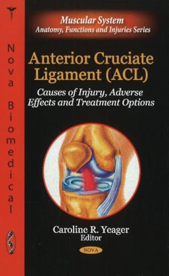 Anterior Cruciate Ligament (ACL)