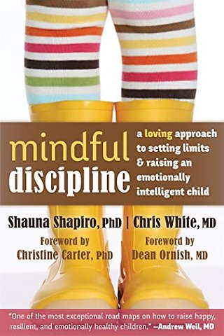 Mindful Discipline