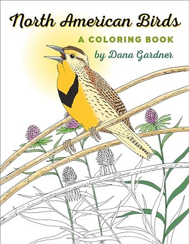 North American Birds