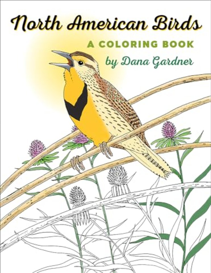 North American Birds