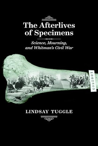 The Afterlives of Specimens