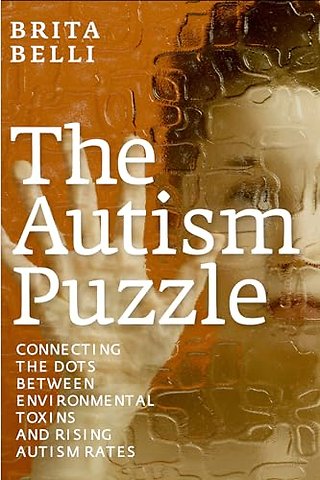 The Autism Puzzle