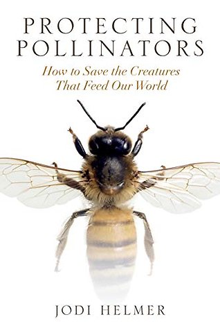Protecting Pollinators – How to Save the Creatures that Feed Our World